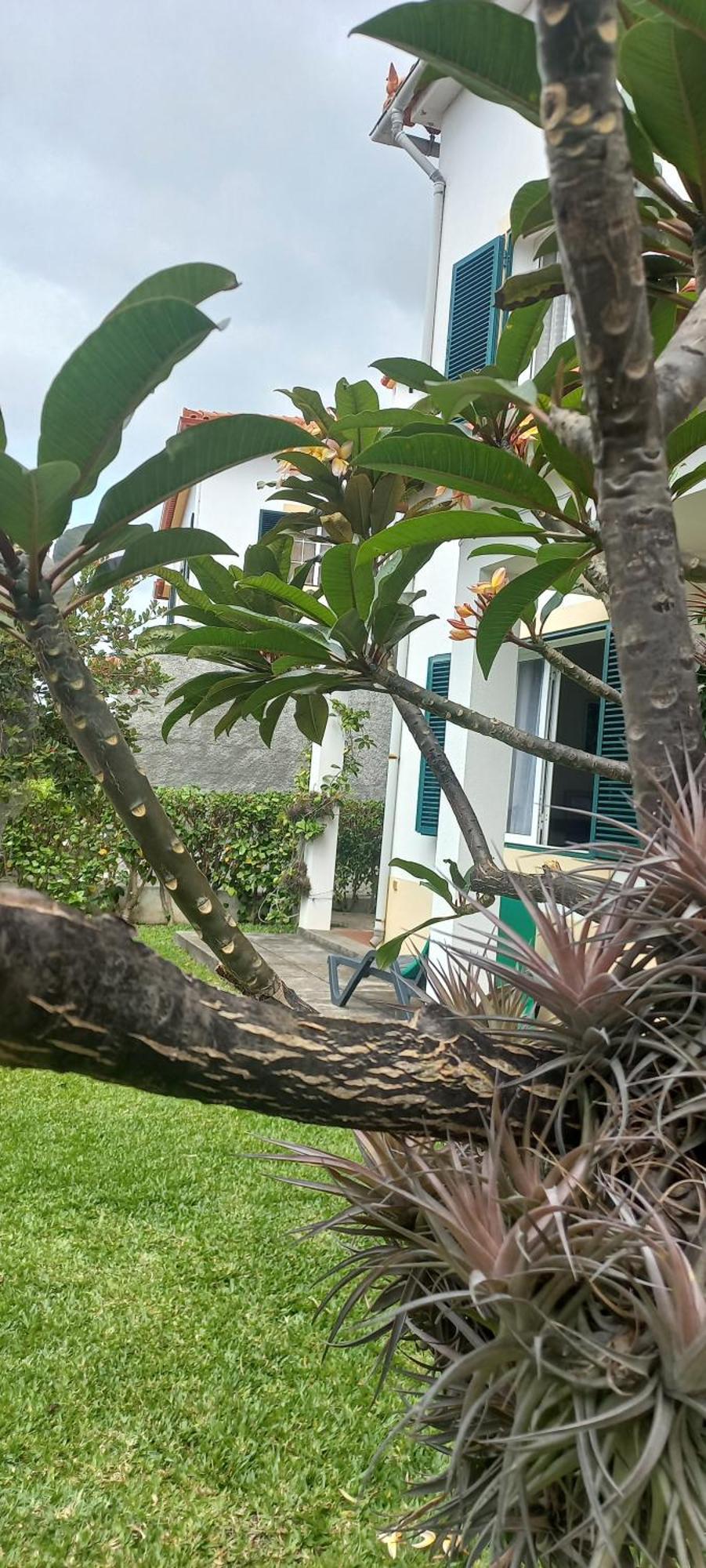 Villa Cosy Nook Funchal  Esterno foto