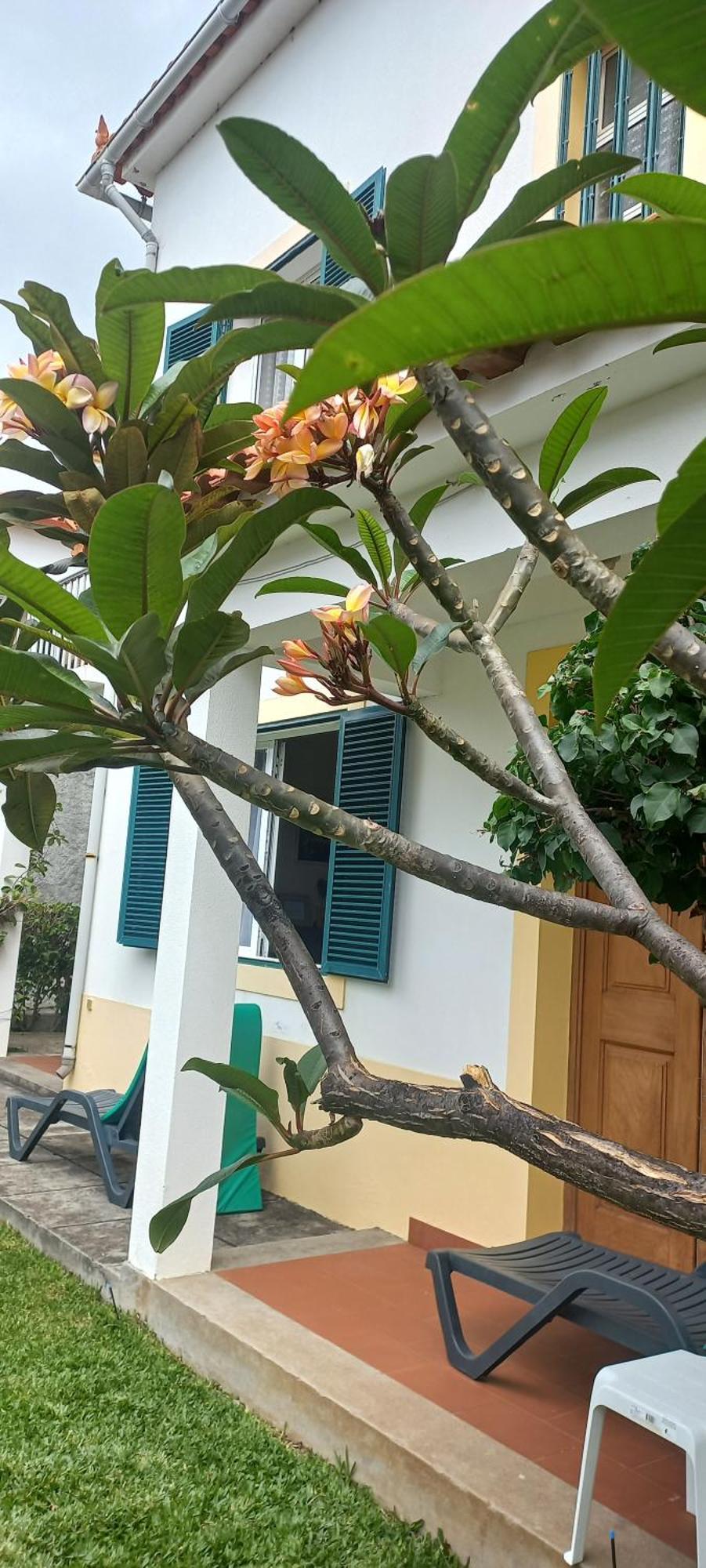 Villa Cosy Nook Funchal  Esterno foto